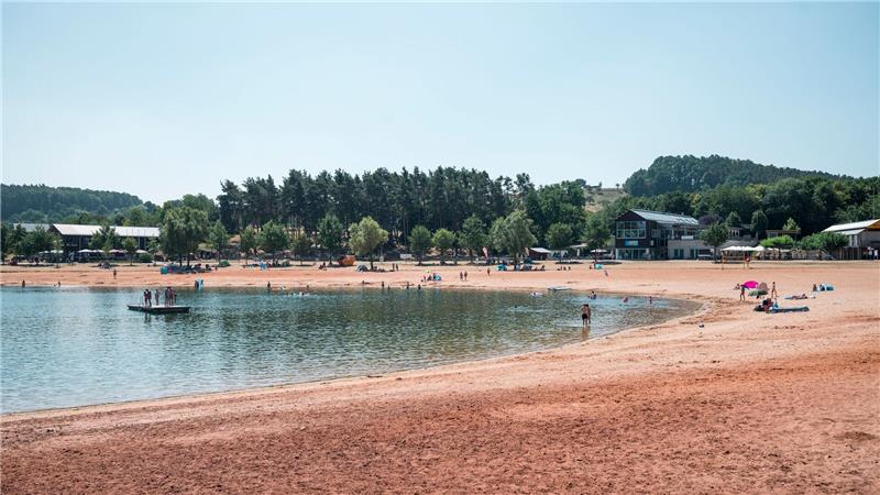 Erneut greift ein Wels einen Schwimmer in der Region an. (Symbolbild)