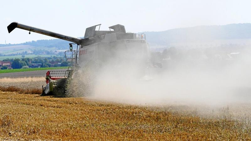 Die schlechteren Böden können in diesem Jahr profitieren Erntezeit auf dem Kornfeld ist immer auch eine staubige Zeit. Weithin ist an den Staubwolken sichtbar, wo die Mähdrescher im Einsatz sind.