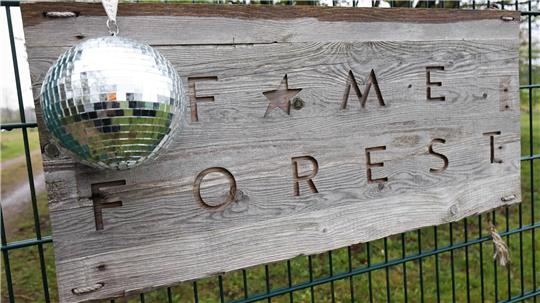 Erst Glitzer, Glamour und Nebelmaschine - dann Naturschutz mit einem eigenen Baum im Fame Forest. In und um Hamburg wird für jede Veranstaltung in der Barclays Arena ein Baum gepflanzt. (Archivbild)