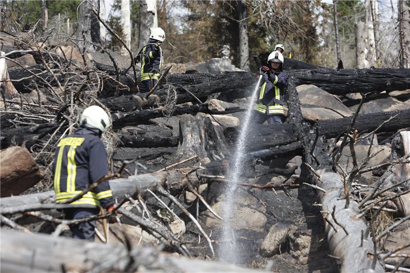 Brocken-Großbrand: Was ist nun mit dem vielen Totholz im Harz? Erst am vergangenen Mittwoch konnten die Einsatzkräfte der Feuerwehr die Brandbekämpfung am Boden intensivieren. Am Samstag zuvor hatte der Großbrand bereits begonnen. Seitdem läuft die Debatte über das Totholz auf dem Waldboden heftig. Foto: Bein/dpa