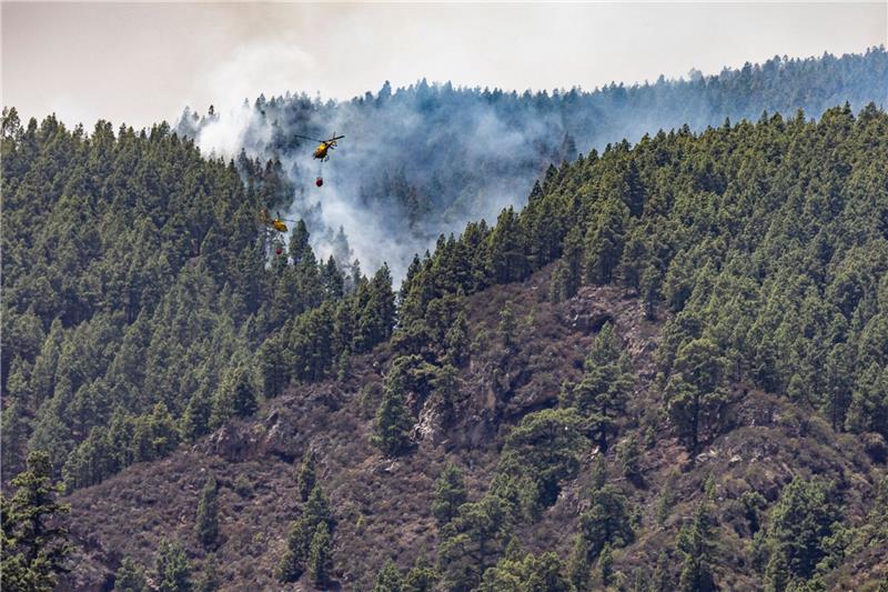 Wieder Waldbrand auf Teneriffa - 2600 Menschen evakuiert Erst im August hatte es einen verheerenden Waldbrand auf der spanischen Urlaubsinsel gegeben. Wie auf dem Bild zu sehen, waren auch Löschhubschrauber im Einsatz. (Archivbild)
