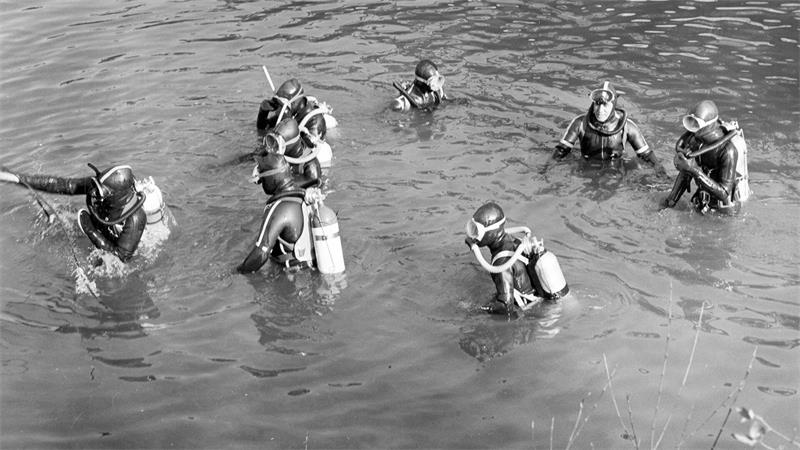 Erst moderne DNA-Methoden brachten den Durchbruch. (Archivbild)