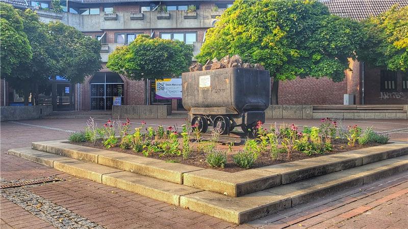 Studie zeigt Wege für belebten Marktplatz in Vienenburg auf Erste zarte Pflänzchen einer Vienenburger Marktplatz-Zukunft sind gesetzt.