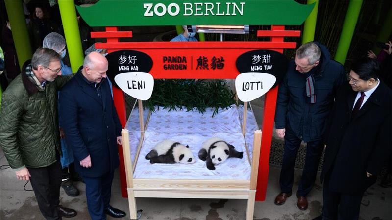 Erster gemeinsamer Auftritt von Leni und Lotti. 