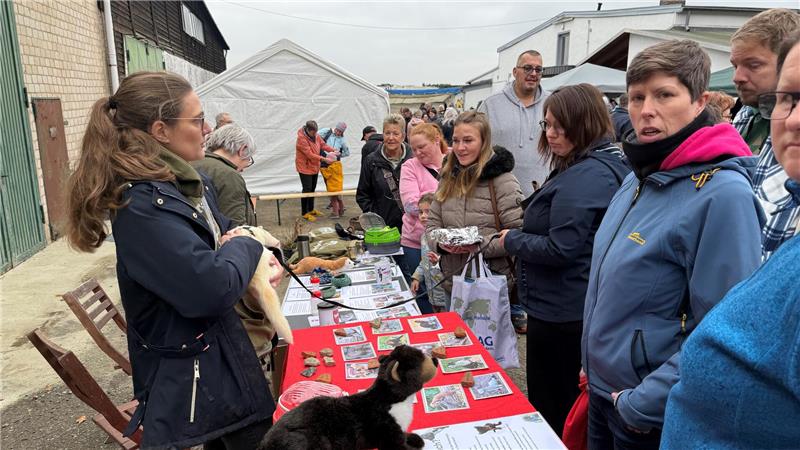 Erstmals dabei beim Winterbasar im Tierheim Eckertal ist die Marderhilfe Northeim.
