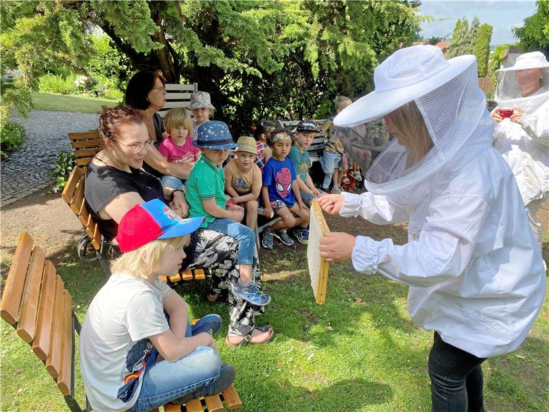 Erzieherin Juliane zeigt den Kindern und ihren Kolleginnen den schweren Wabenkasten, in dem der frische Honig sitzt und aus dem löffelweise genascht werden darf. Foto: Nachtweyh