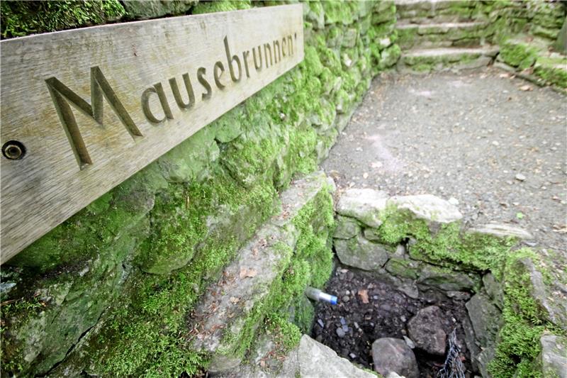 Pfingstpilgern zur Kult-Quelle im Heißumer Wald Es gibt angeblich kein Bier auf Hawaii – und definitiv kein Quellwasser im Mausebrunnen. Die Dürre der vergangenen Jahre sorgte dafür, dass der Grundwasserspiegel absank. Foto: Gereke