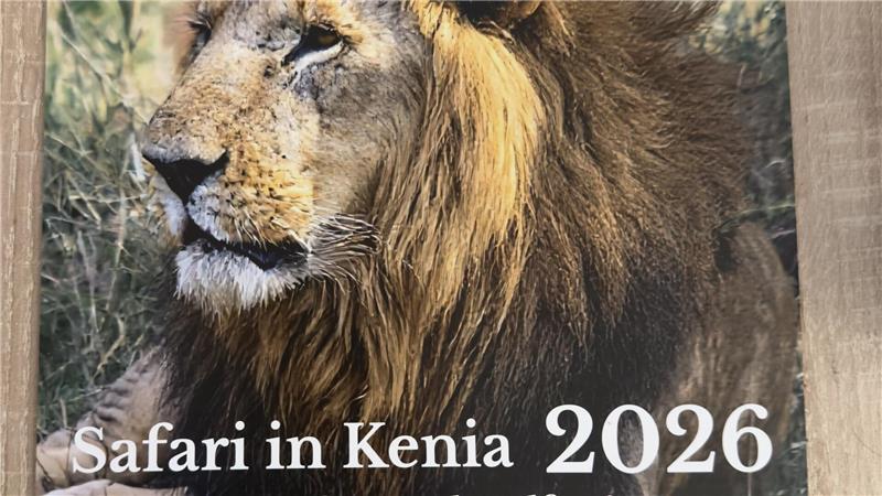 Das Bild zeigt einen Kalender - das Motiv darauf ist ein männlicher Löwe.