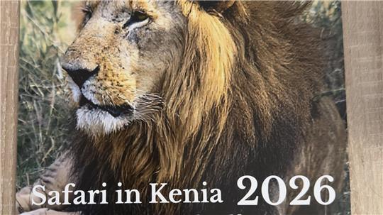 Das Bild zeigt einen Kalender - das Motiv darauf ist ein männlicher Löwe.