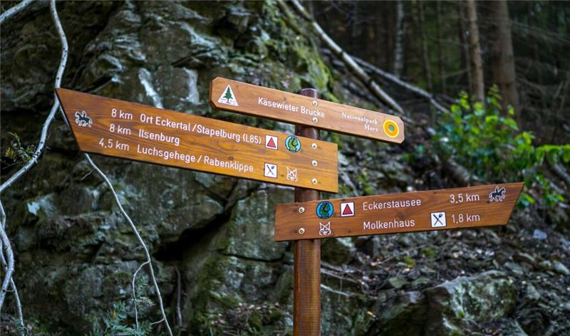 Es gibt viele Möglichkeiten, rund um Bad Harzburg wandern zu gehen.