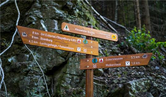 Es gibt viele Möglichkeiten, rund um Bad Harzburg wandern zu gehen.