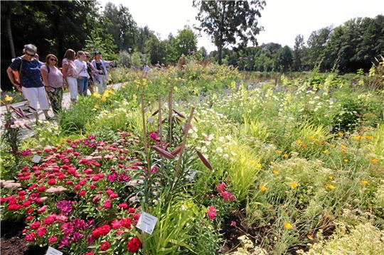 Es grünt und blüht an den Ufern der umgestalteten Osterbergseen in Bad Gandersheim. Bislang strömten über 210.000 Besucher auf das Gelände der Landesgartenschau. Foto: Gereke