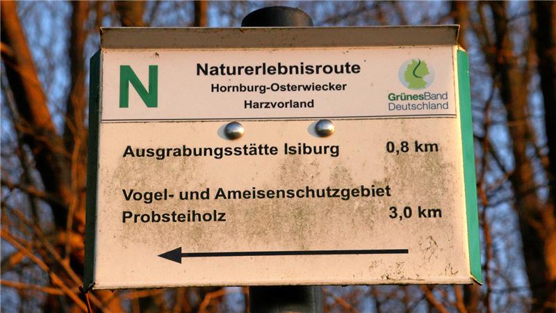 Forschung: Welche Geheimnisse gibt die Isiburg bei Schladen frei? Wegweiser mit der Aufschrift "Ausgrabungsstätte Isiburg".