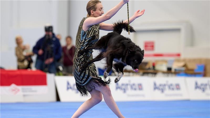 Wenn Hunde tanzen - Meisterschaft in Dog Dancing gestartet Es kann auch akrobatisch zugehen.