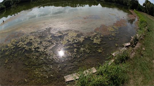 Es können Trübungen des Wassers sowie Schlieren oder Ansammlungen an der Wasseroberfläche auftreten. (Symbolbild)
