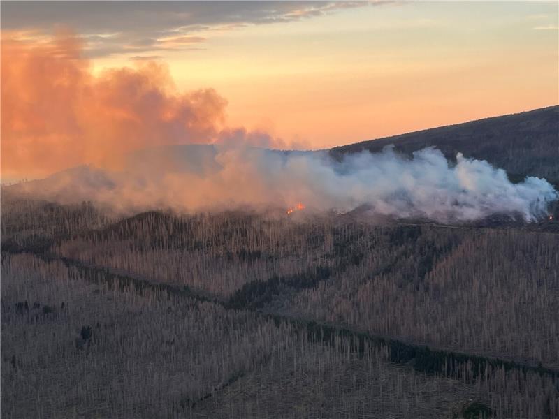 Brocken-Brand: Löschflugzeuge nach Harz-Einsatz zurück in Rom Es kommen ein leichter und ein mittlerer Transporthubschrauber des Bundespolizei-Flugdienstes zum Einsatz. Foto: Bundespolizei