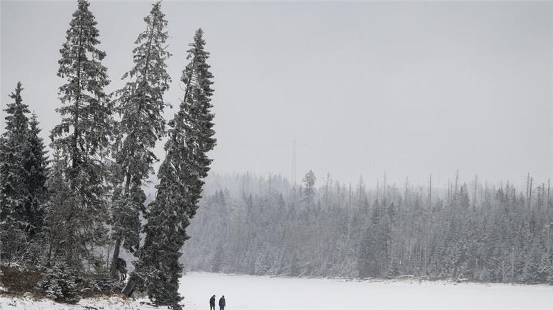 Skifahrer und Rodler freuen sich über Schnee im Harz Es liegen etwa 5 Zentimeter Naturschnee.