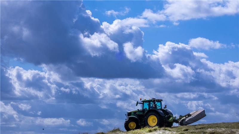 Es lohnt sich oft nicht: Die Produktionskosten für Agrarprodukte liegen teils über den Verkaufspreisen. (Archivbild)