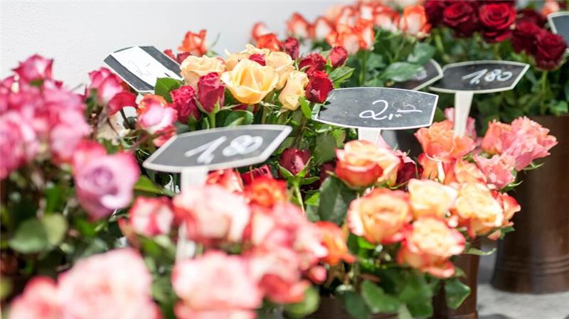 Etwa 6.000 Blumenfachgeschäfte gibt es in Deutschland. (Archivbild)