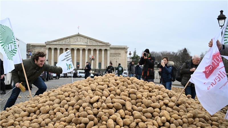 Europäische Bauern fürchten einen harten Preiskampf mit den südamerikanischen Farmern. (Archivbild)