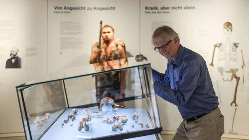Der Neandertaler, der seiner Art den Namen gab Experte Ralf W. Schmitz öffnet den Glaskasten mit dem Fossil des Original-Neandertalers.