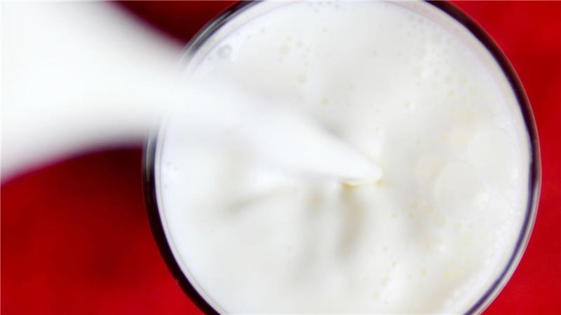 Experten: „Pflanzendrinks sind kein gleichwertiger Ersatz für Kuhmilch“