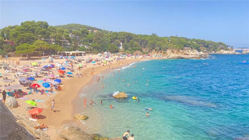 Experten fordern eine Renaturierung der Küstenregionen, um den Verlust von Stränden zu stoppen. (Archivbild)