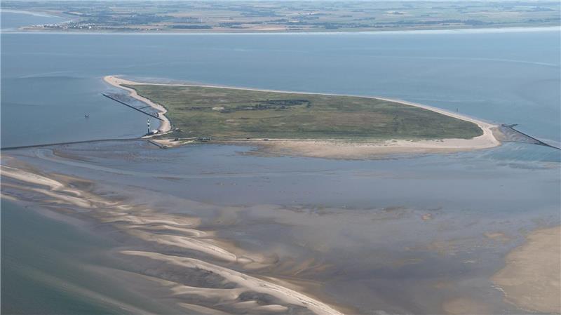 Erneut Wal auf Nordseeinsel gestrandet Experten wollen das angespülte Tier auf der Insel untersuchen. (Archivfoto)