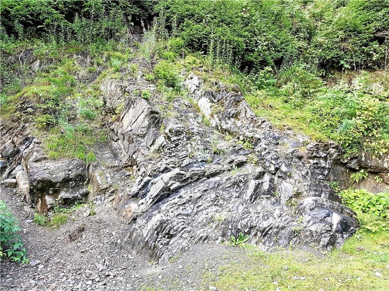 Fachleute lesen aus diesen Steinen im Tal oberhalb der Okertalsperre faszinierende Erkenntnisse aus der Urgeschichte der Erde.  Fotos: Schulz
