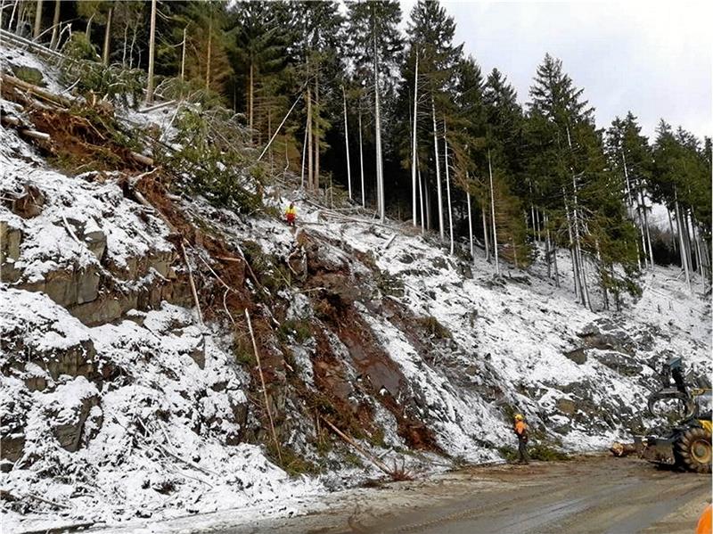 Fällarbeiten im vorigen Jahr im Okertal. Auch in den kommenden Wochen sollen abgestorbene Fichten aus den Hängen geholt werden. Foto: Landesforsten