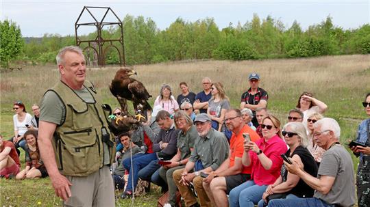 Ein Falkner präsentiert einen auf dem Arm sitzenden Greifvogel dem Publikum, im Hintergrund ein rekonstruiertes Werla-Tor aus Stahl.