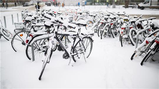 Falschmeldungen zu Schulausfällen kursieren immer wieder.