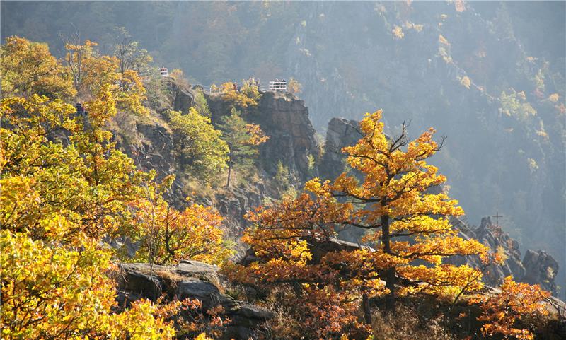 Sturmschäden: Bodetal bleibt bis Frühjahr 2023 gesperrt Farbenfreudiges Herbstwetter im Bodetal: Der Ausblick bleibt Wanderinnen und Wanderern vorerst verwehrt. Foto: Jens Wolf/DPA