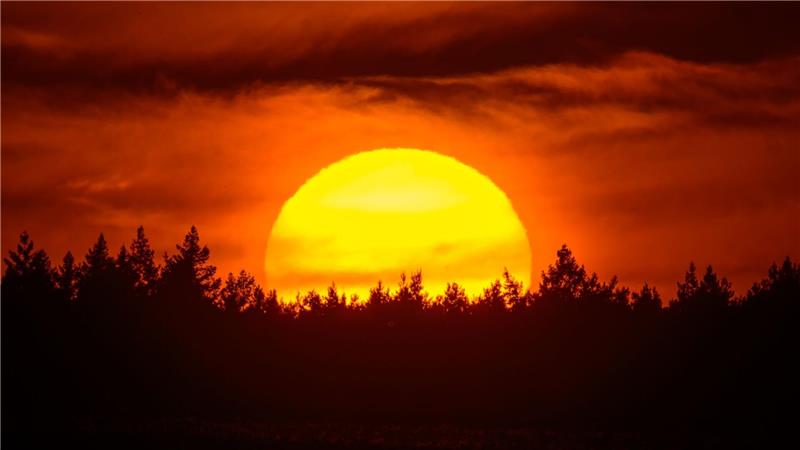 Farbenprächtig leuchtet der Sonnenuntergang hinter einem Waldgebiet im östlichen Brandenburg.