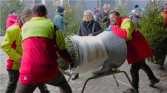 Fast wie am Fließband verpacken Eric Beyer vom Forstamt Clausthal (r.) und seine Kollegen an der Netzmaschine einen Weihnachtsbaum nach dem anderen.