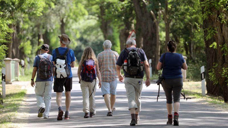 Heilsame Auszeit: So geht das Fastenwandern Fastenwandern bedeutet moderate Bewegung. Foto: Bernd Wüstneck/dpa-Zentralbild/dpa-tmn
