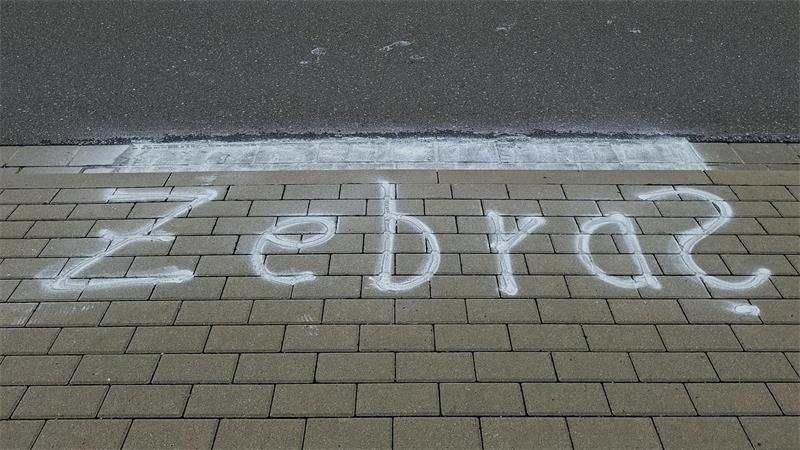 Das Wort 'Zebra' ist in weißer Farbe auf einem gepflasterten Gehweg vor einer Straße gesprüht.