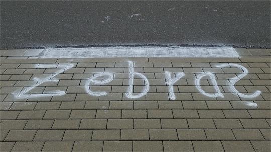 Das Wort 'Zebra' ist in weißer Farbe auf einem gepflasterten Gehweg vor einer Straße gesprüht.