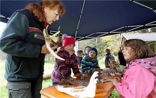 Ferienfreizeiten und Exkursionen für Kinder gehören schon zum Programm des Vereins Bürger helfen Bürgern. Jetzt kommt ein Kursangebot hinzu. Archivfoto: Neuendorf