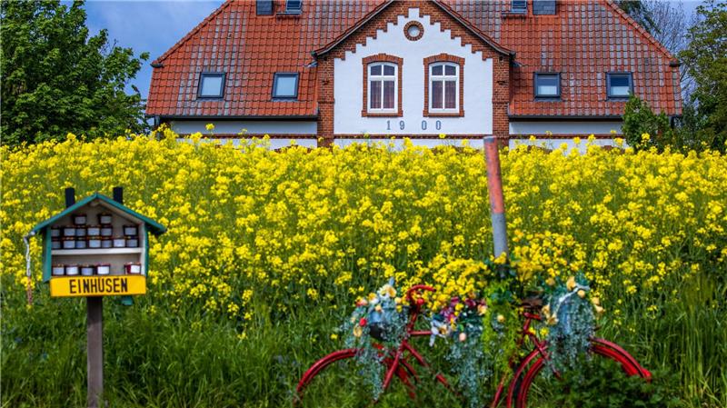 Immer mehr Ferienwohnungen werden online gebucht Ferienhäuser werden immer häufiger online vermittelt.