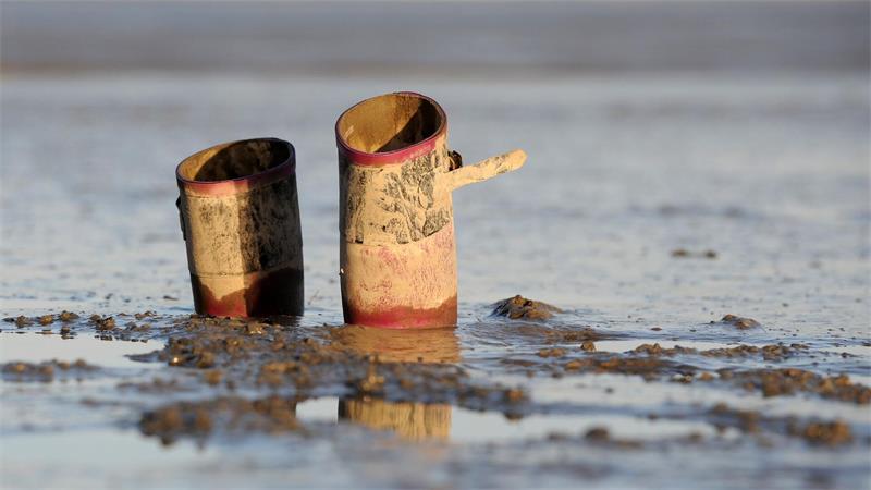 Feste Schuhe empfehlen sich - vor allem im weichen Schlickwatt könnten Gummistiefel vom Fuß rutschen. (Archivbild)