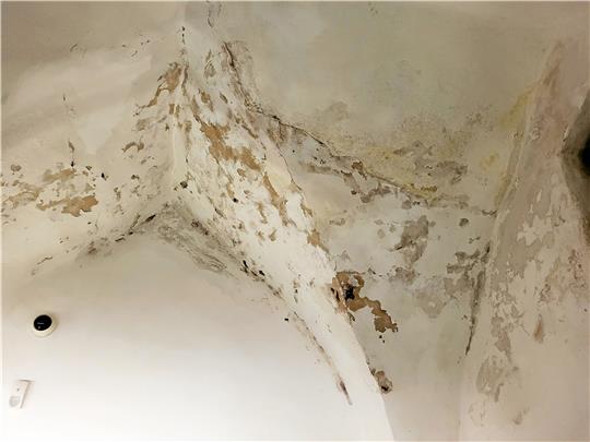 Feuchteschäden durchziehen die Decke im Rathauskeller. Foto: Roß