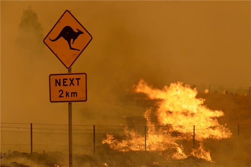 Sorge in Australien vor neuem „Schwarzen Sommer” wächst Feuer brennt im Gras in der Nähe von Bumbalong, südlich der australischen Hauptstadt Canberra.
