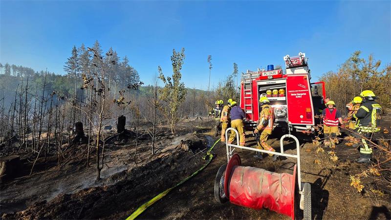 Feuerwehr kämpft gegen Waldbrand auf sieben Hektar im Vogtland