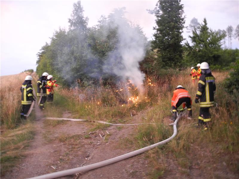 Feuerwehrkräfte bekämpfen am Dienstagabend einen Vegetationsbrand im Scheeptal. Foto: Feuerwehr Langelsheim