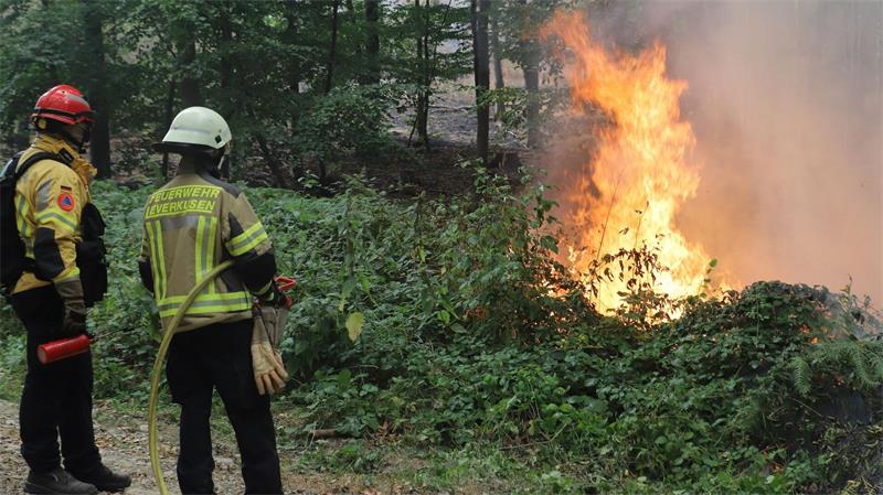 Feuerwehrkräfte kämpfen gegen Waldbrand im Hürtgenwald