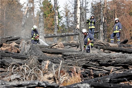 Feuerwehrleute auf der Brandfläche am Brocken. Nationalpark-Chef Roland Pietsch geht davon aus, dass das Gelände sich schnell wieder von selbst begrünt. Das Totholz soll liegen bleiben, auch um den Boden vor Erosion zu schützen.  Foto: Neuendorf