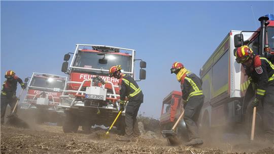 Feuerwehrleute aus Deutschland richten am Einsatzort in Spanien zeitaufwändig eine Sicherheitszone ein. Das Gebiet wird von Vegetation befreit, damit die Einsatzkräfte einen Rückzugsort haben, falls Feuer ausbrechen oder Winde sich drehen.