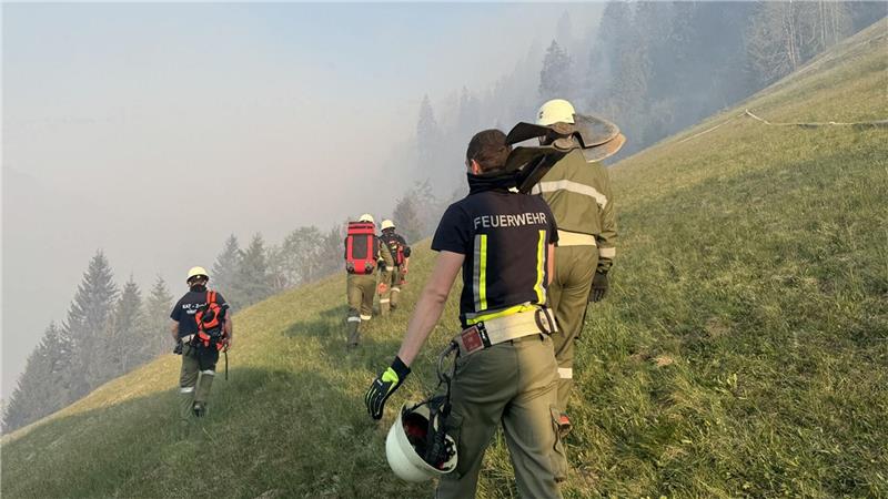 Feuerwehrleute bekämpfen einen Waldbrand in den Bergen im Kärntner Lesachtal in Österreich.