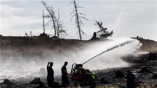 Feuerwehrleute bekämpfen versteckte Glutnester beim Waldbrand auf der Saalfelder Höhe.